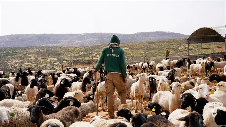 צילום: דוברות השומר יו"ש