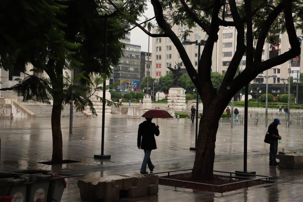צילום: שאטרסטוק