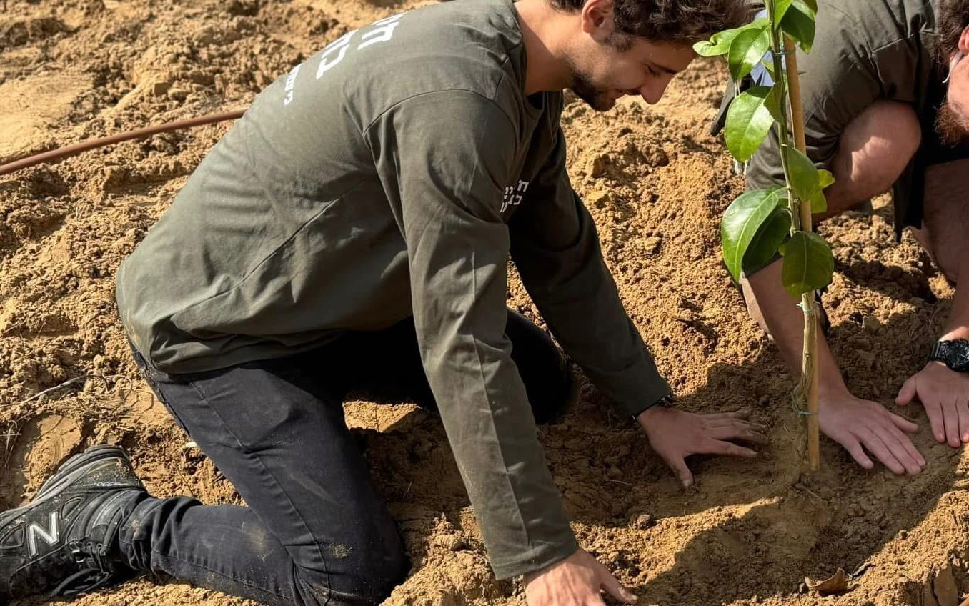 נטיעות