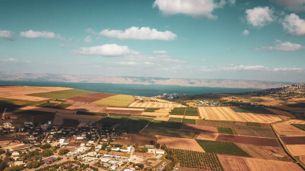 צילום: שאטרסטוק