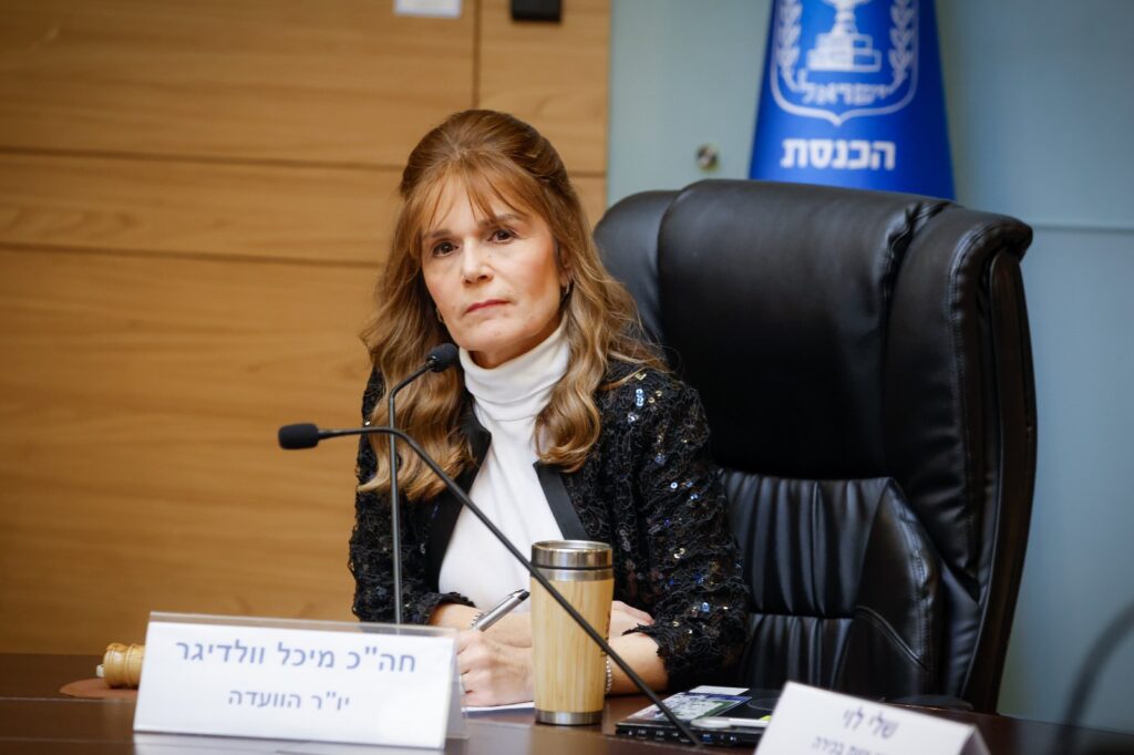ח"כ מיכל וולדיגר