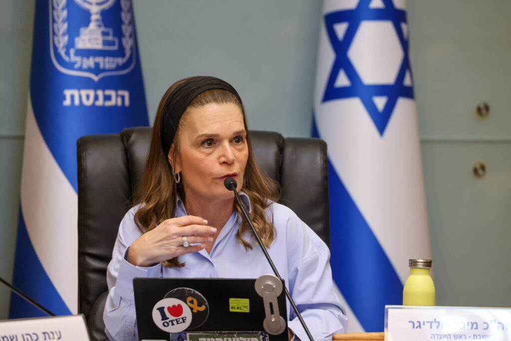 ח"כ מיכל וולדיגר