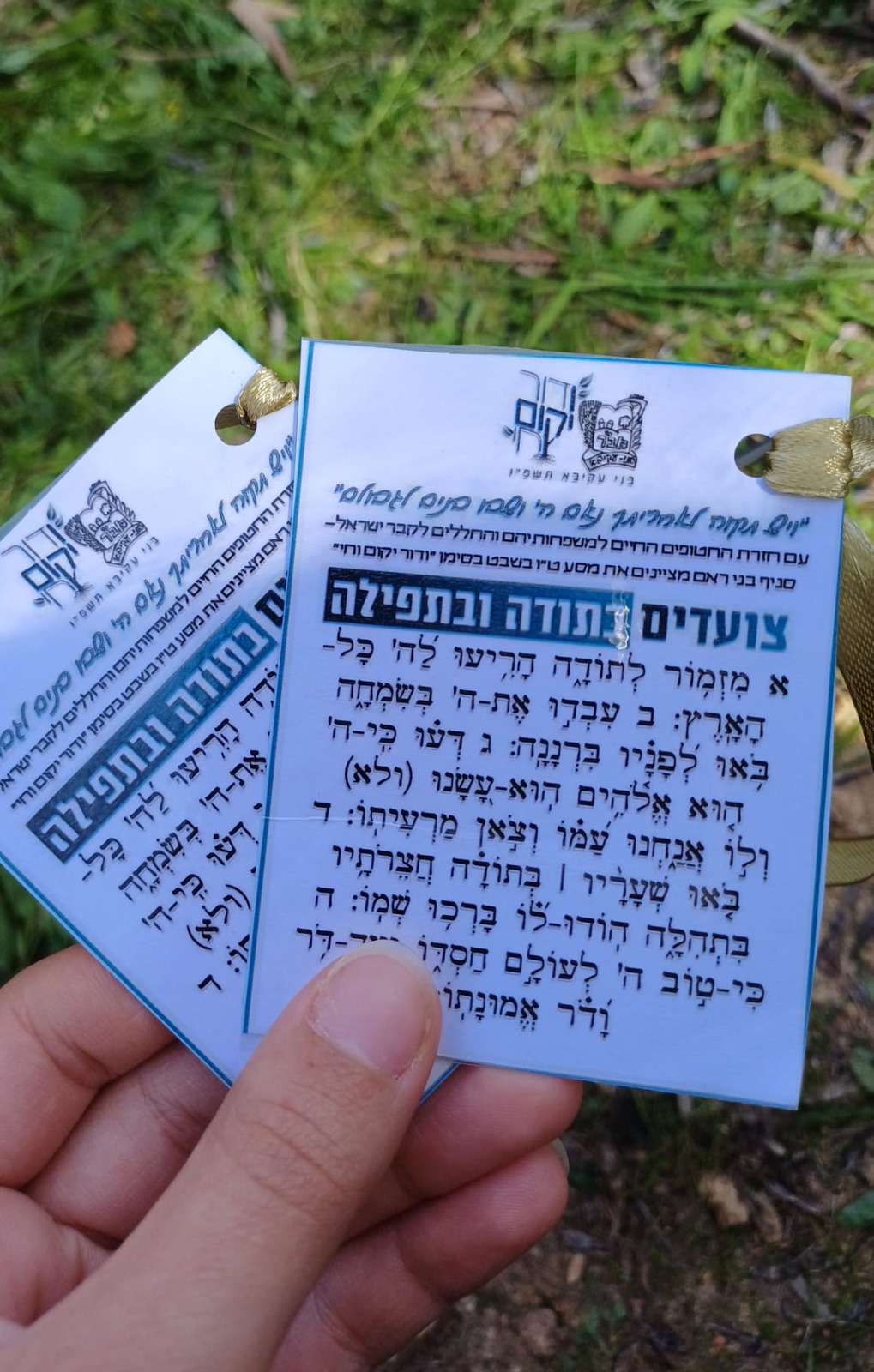 מזמור לתודה, נטיעות בני עקיבא