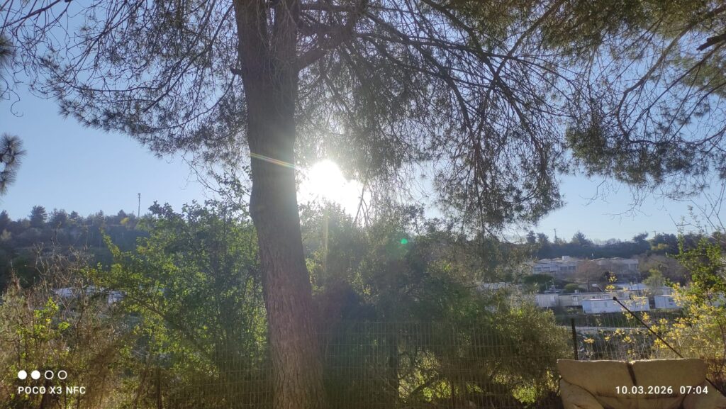 שמשי