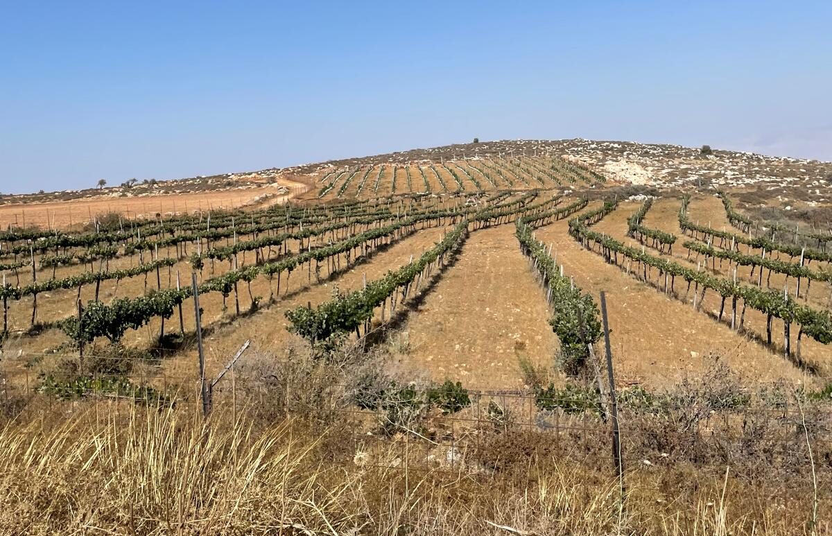 יהודה ושומרון , צילום : ללא קרדיט
