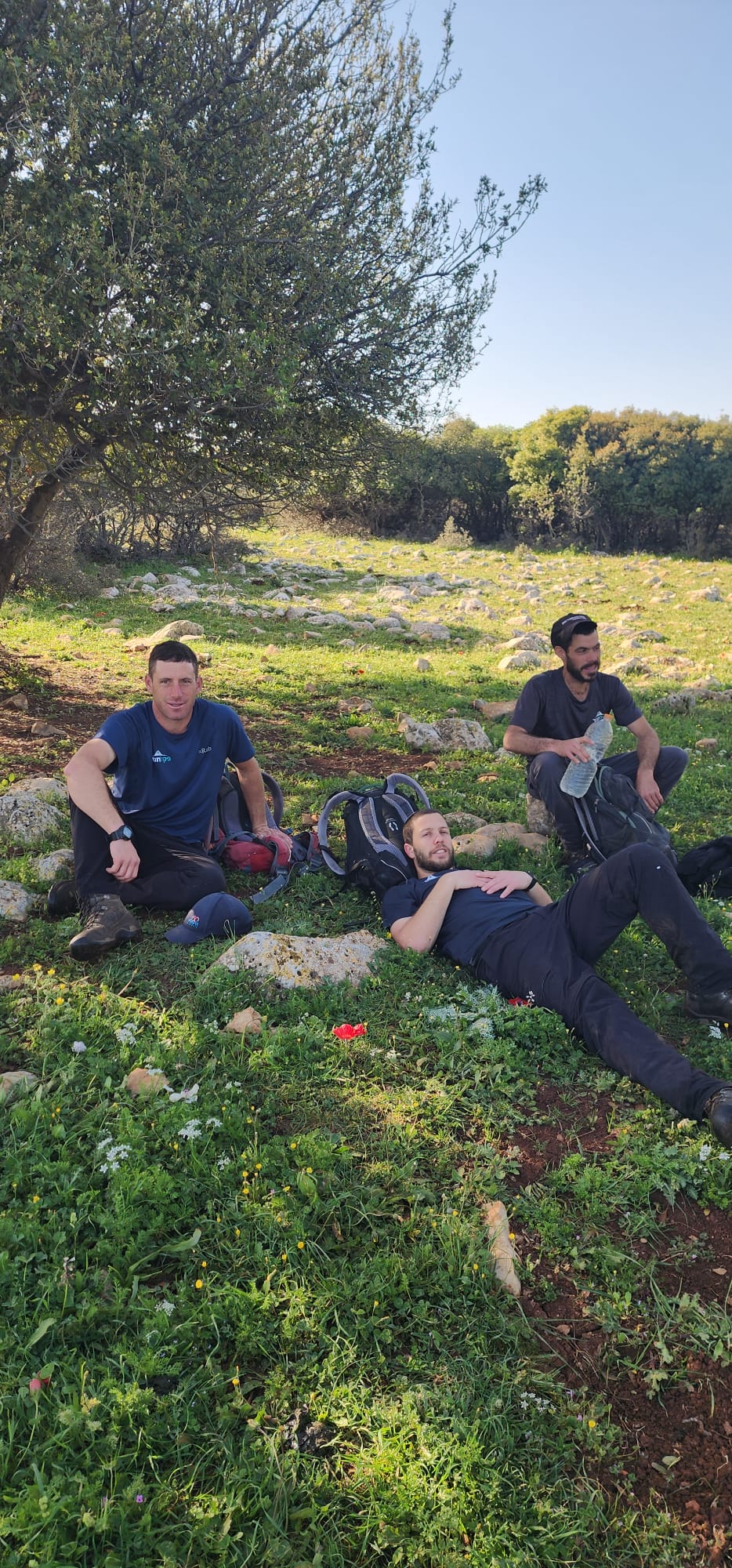החרגבים בשמורת אלוני סיריס בצפון השומרון