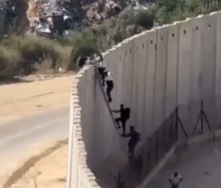 שב"חים מטפסים מעל גדר המערכת ובורחים לתוך שטח ישראל | צילום: