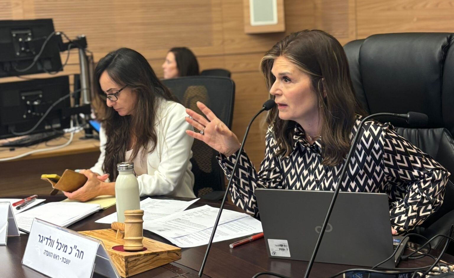 ח"כ מיכל וולדיגר בדיון בועדת העבודה והרווחה