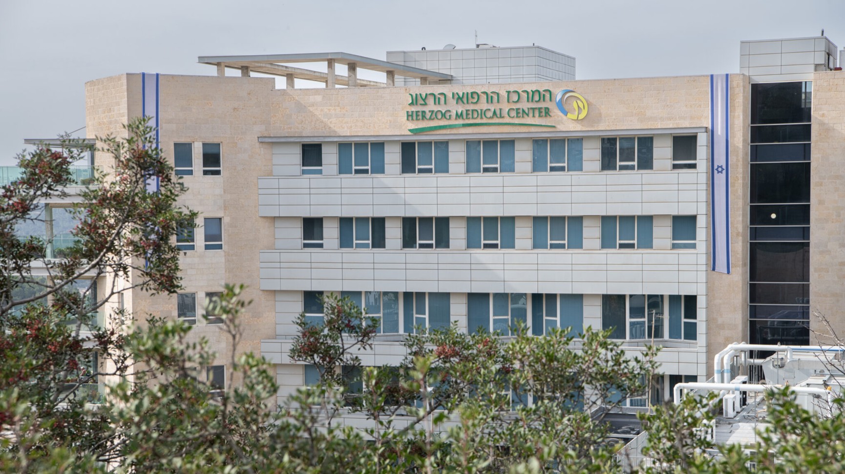 המרכז הרפואי הרצוג.