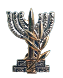 ויקיפדיה מאושר לשימוש