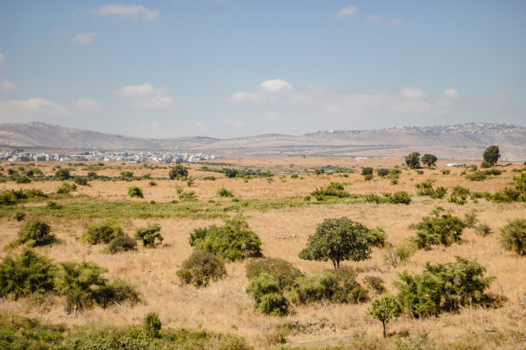 מזג האוויר בישראל