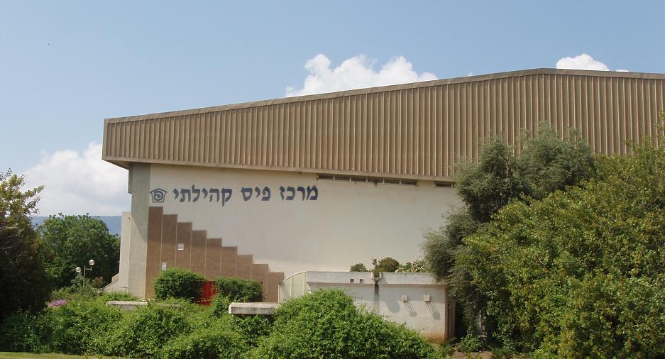 ויקיפדיה
