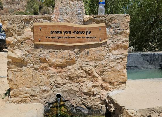 המעיין שהושחת