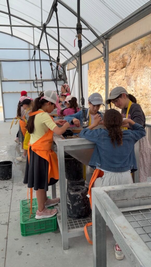 "אוצרות שומרון" המרכז לסינון עפר ושטיפת חרסים בשבי שומרון.
