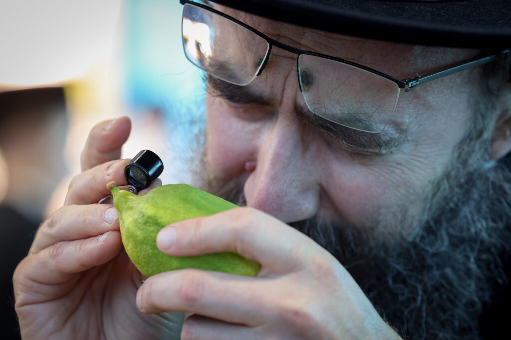 סוכות אתרוג ארבעת המינים