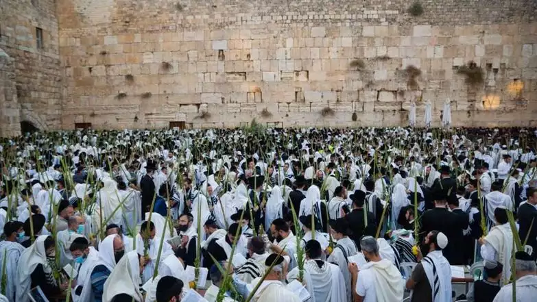 מתפללים בחג הסוכות בכותל.