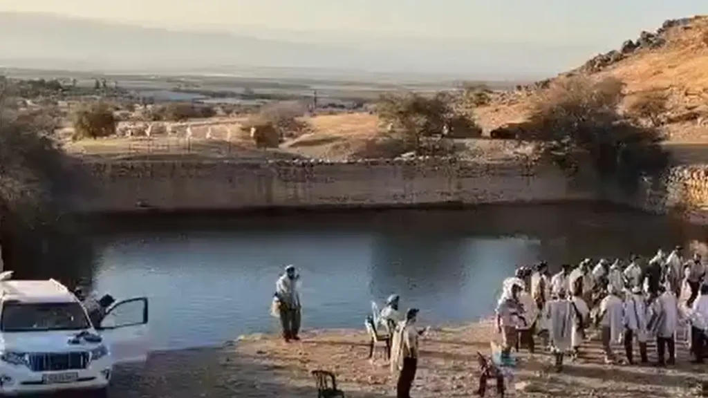 בריכת הורדוס בפצאל.