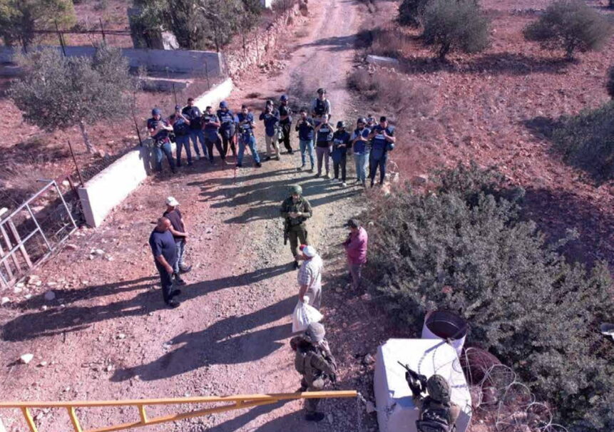 15 צלמים, שלושה חקלאים ושק זיתים אחד