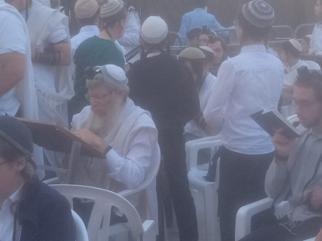הרב צבי קוסטינר בתפילת שחרית בכותל. צילם: ללא קרדיט