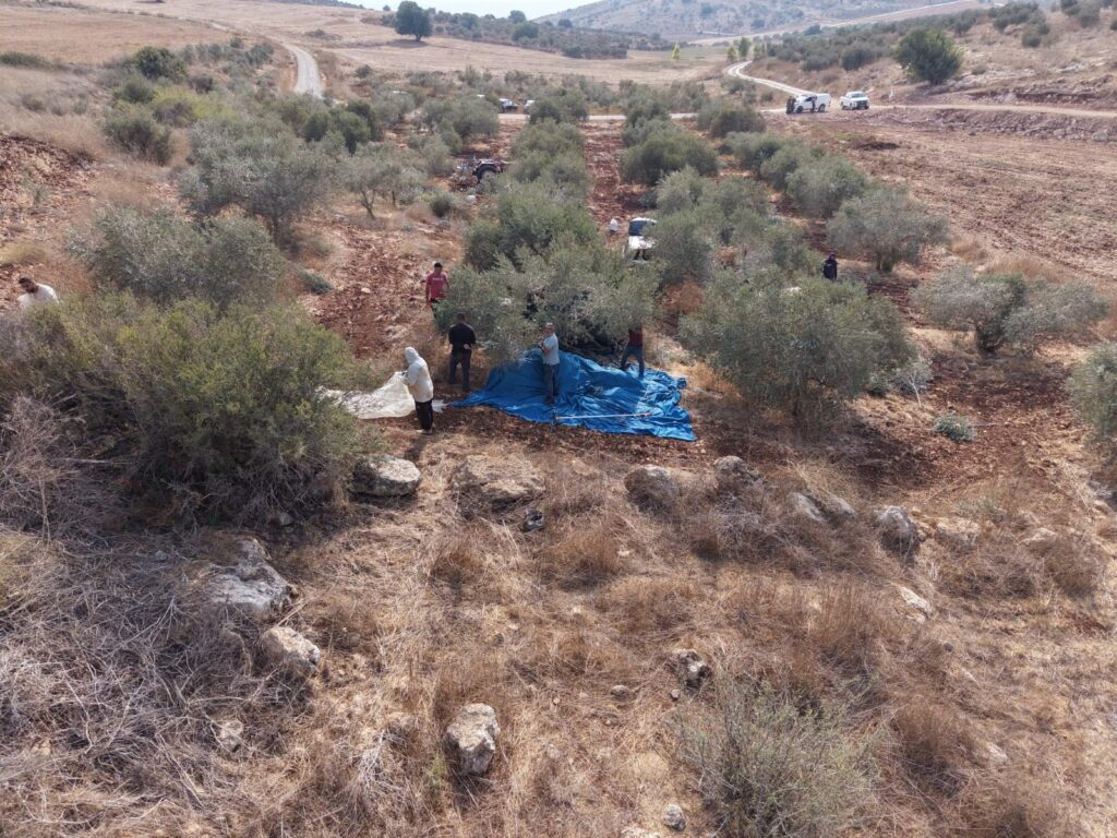 מסיק