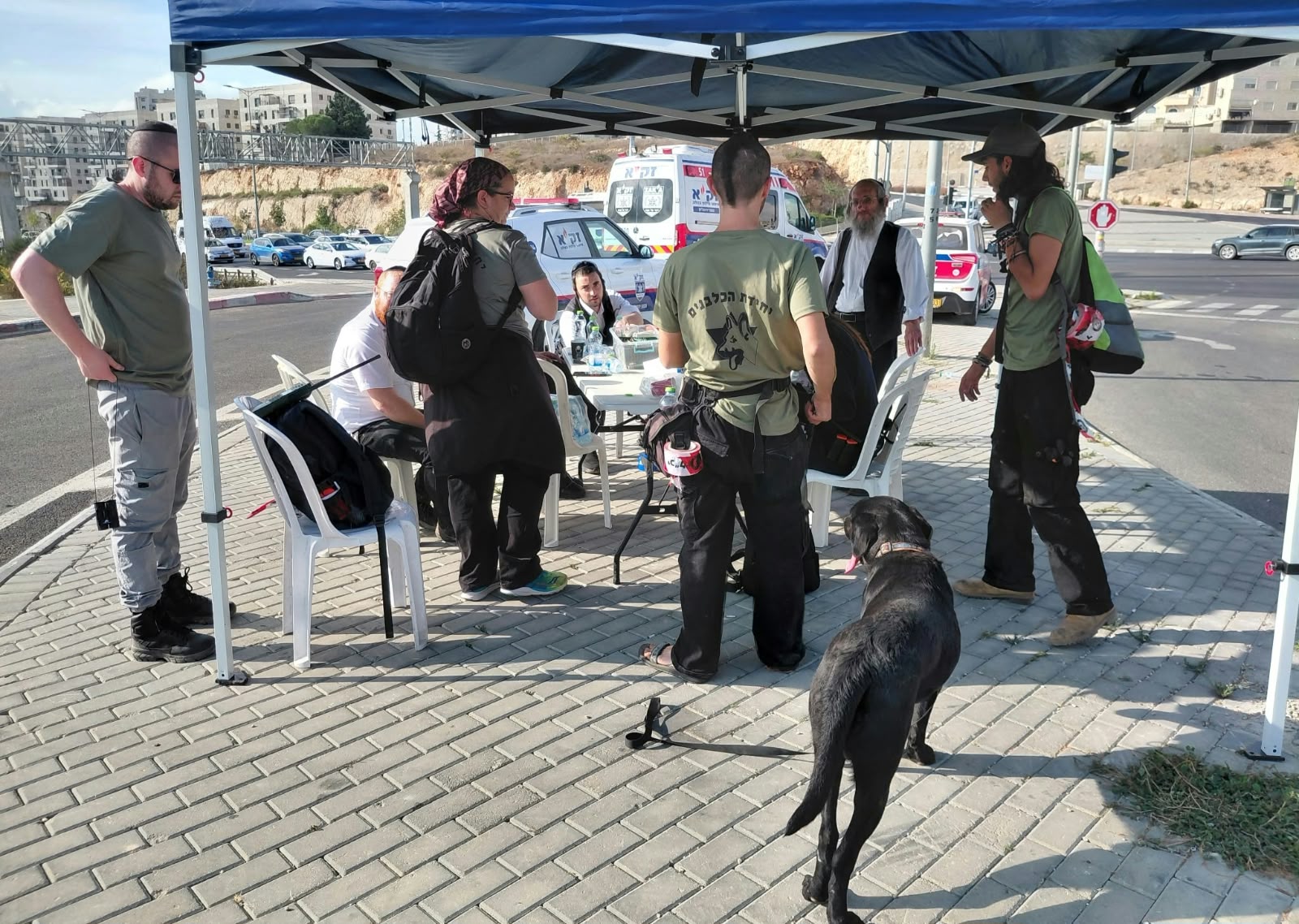 מתנדבים וכלב ליד ניידות חירום ברחוב