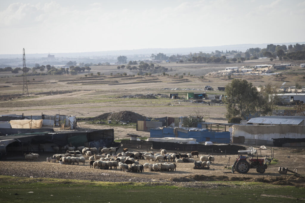 עדר כבשים בפזורה בדואית בנגב עם בנייה פלסטינית בלתי מתוכננת בסביבה