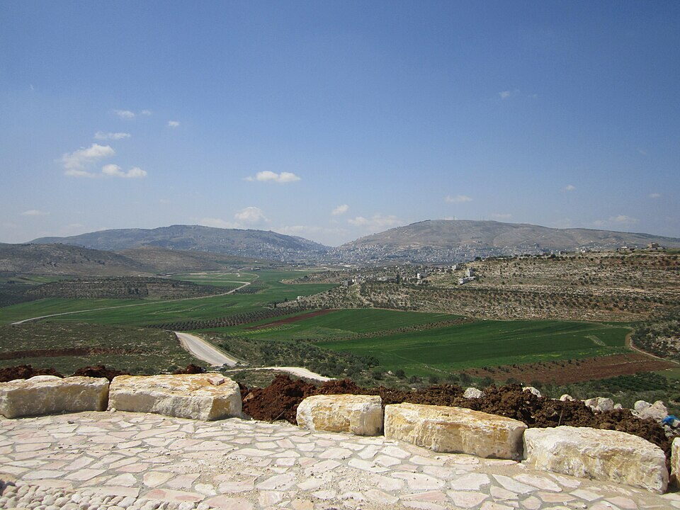 מצפה בניו